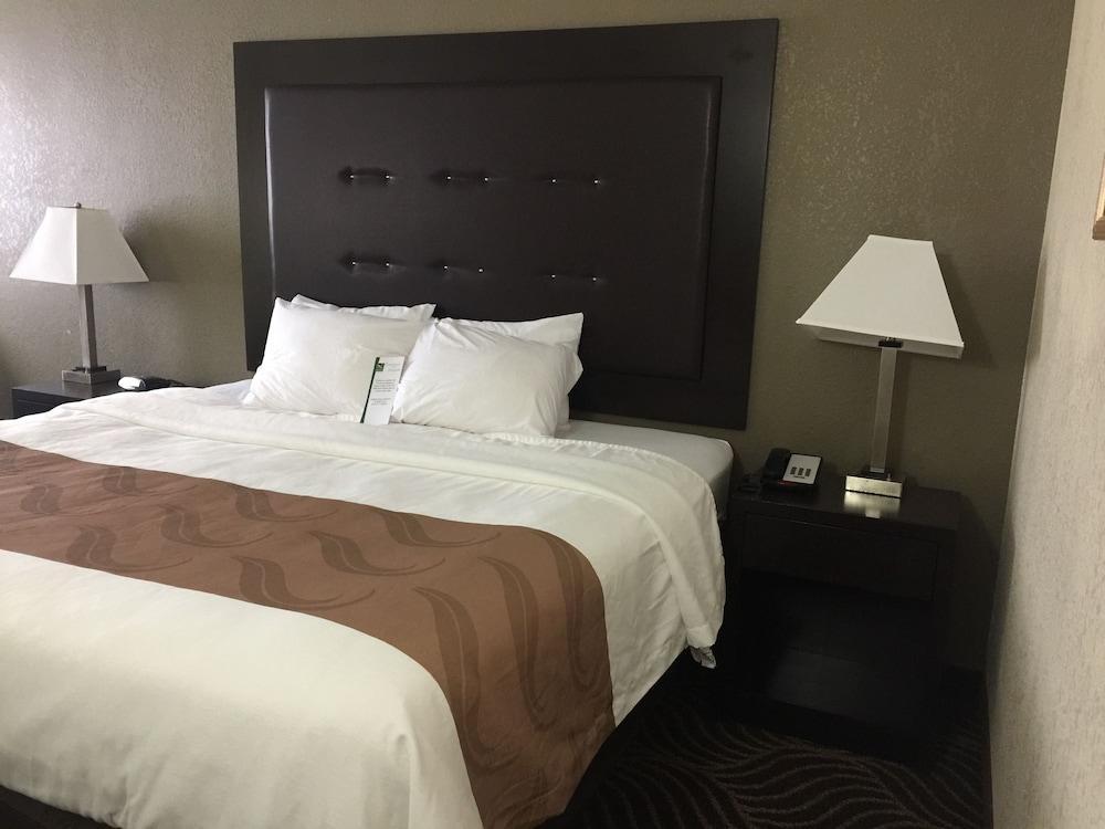 Quality Inn & Suites Florence - Cincinnati South Екстер'єр фото